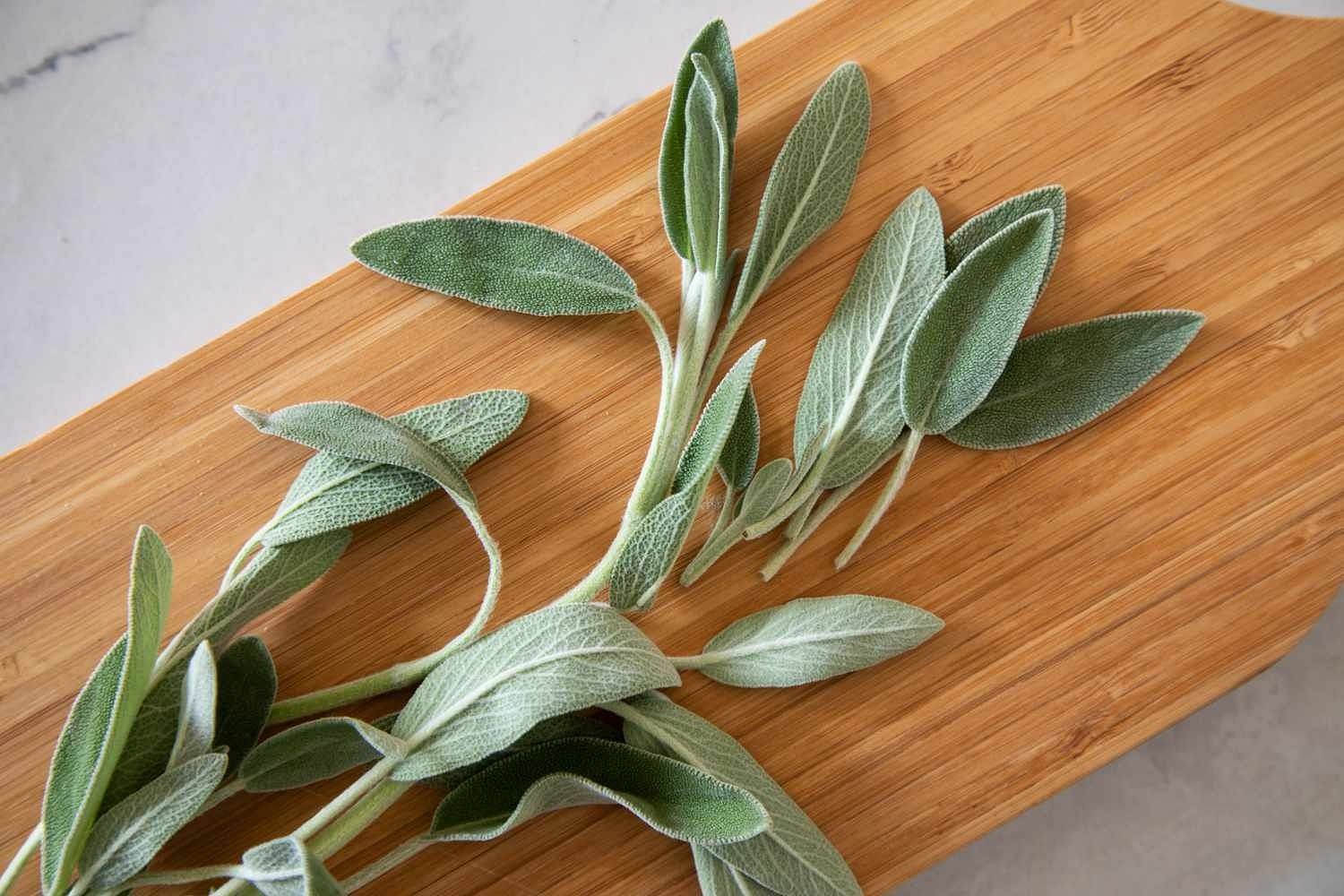 Medicinal benefits of sage (Image via Spruce)